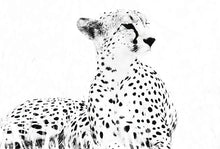 Load image into Gallery viewer, Strike a Pose, Cheetah Black and White