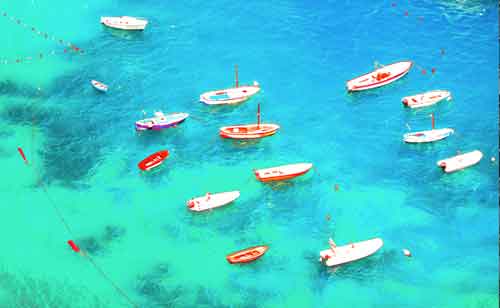 Sea of Boats